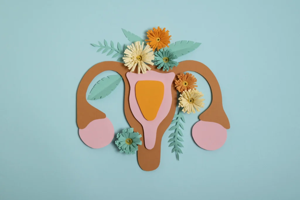 endometrial uterus 